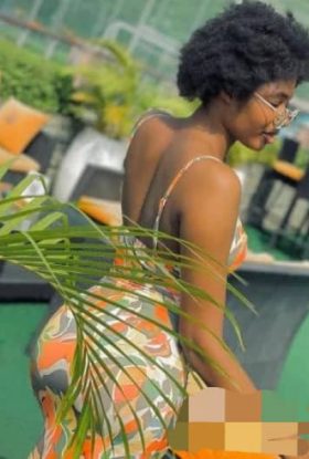 Amia